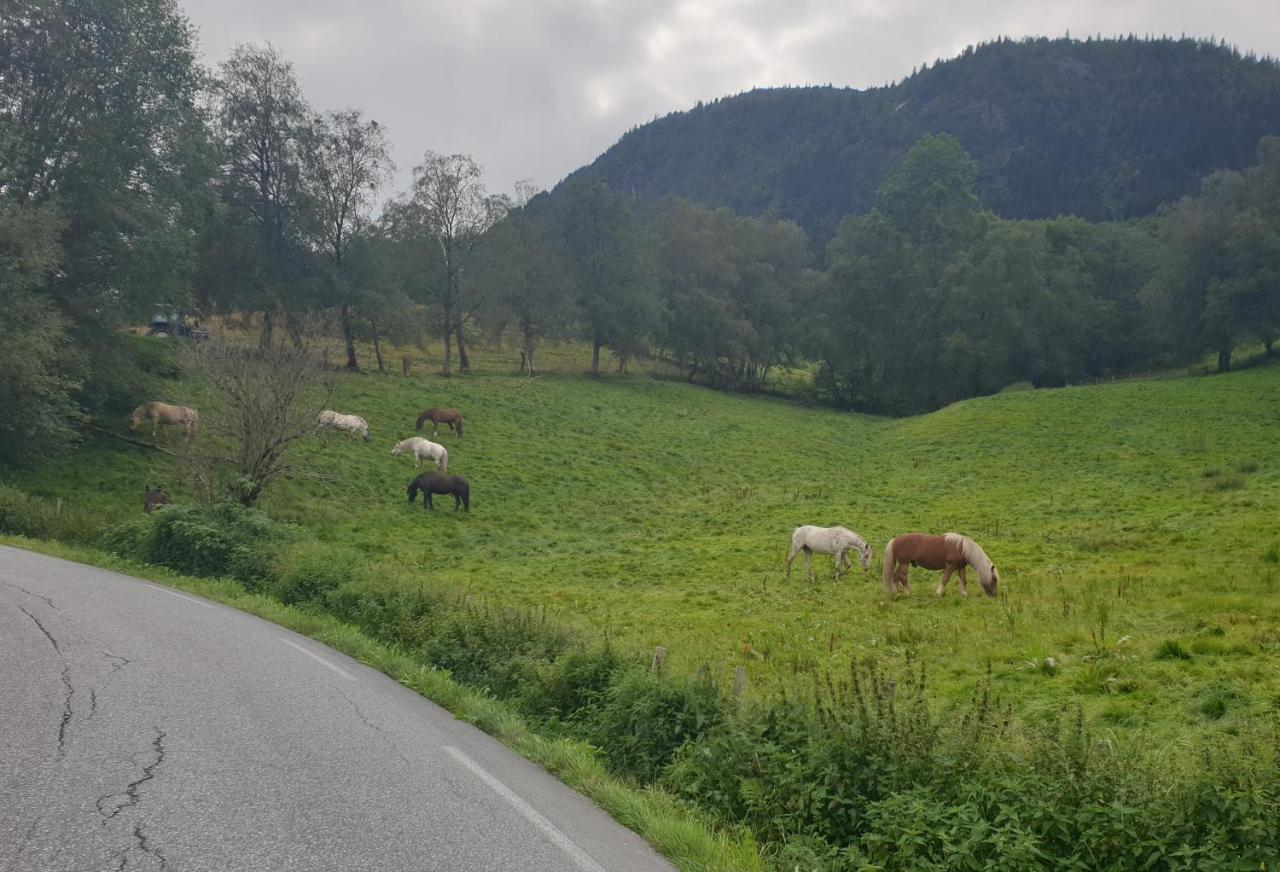 New And Exclusive Cottage In Voss With A Great View スクレスタドゥモ エクステリア 写真